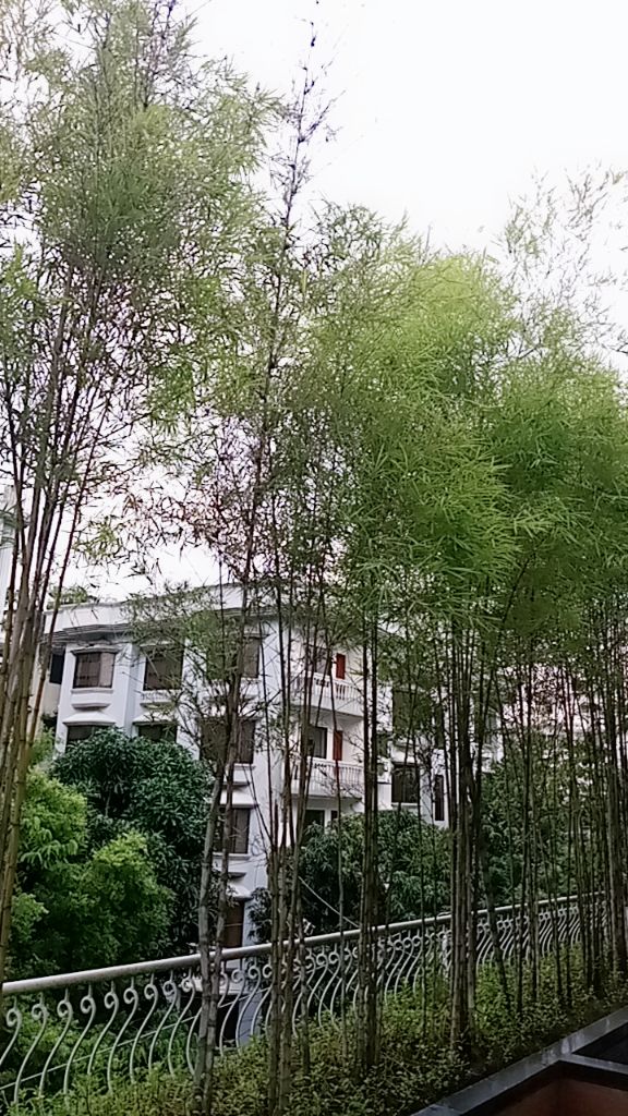 @সাথী