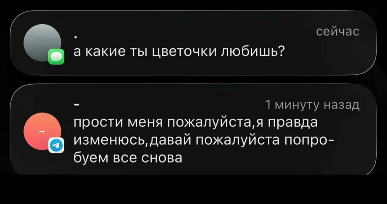 @ELIZAVETA NOVIKOVA