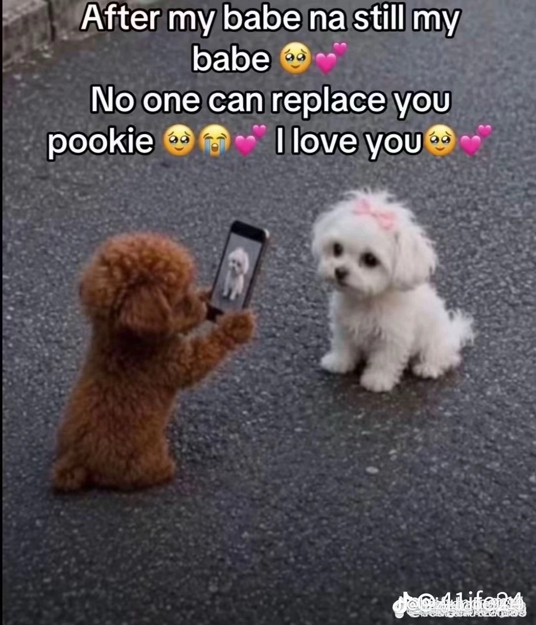 @🌺💞🥀ZAINAB OYIZA🤍🌸💘