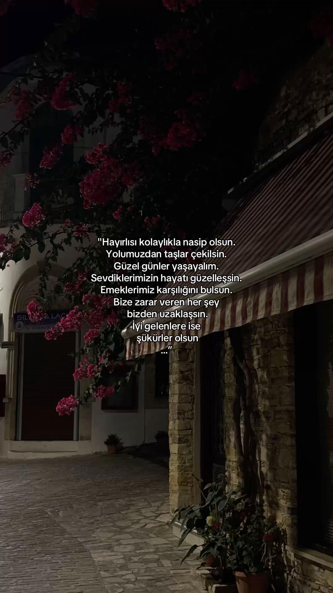 @𝓔𝓵𝓲𝓯