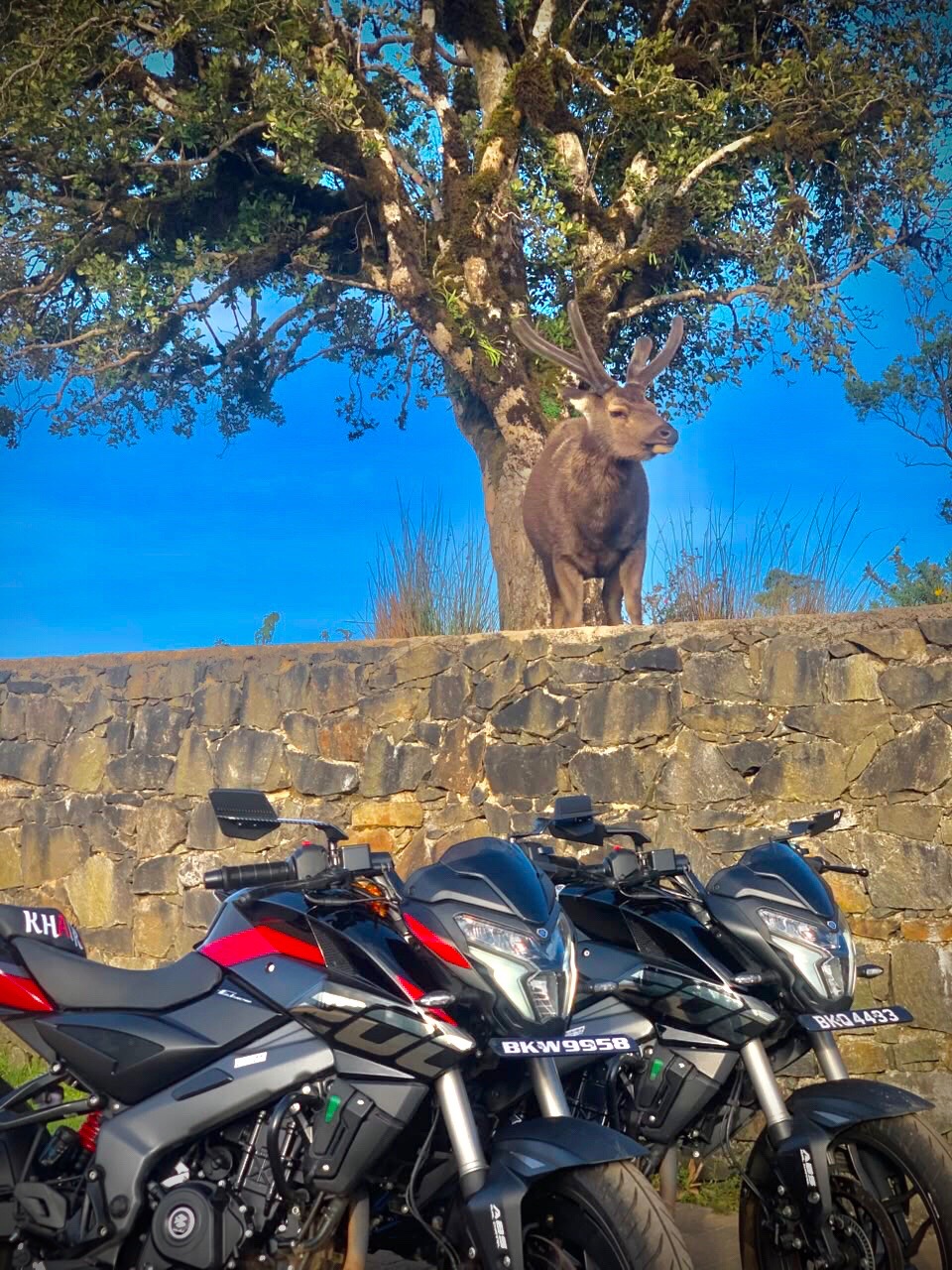 @D.S Dharshan 🖤🖤🖤🖤🖤