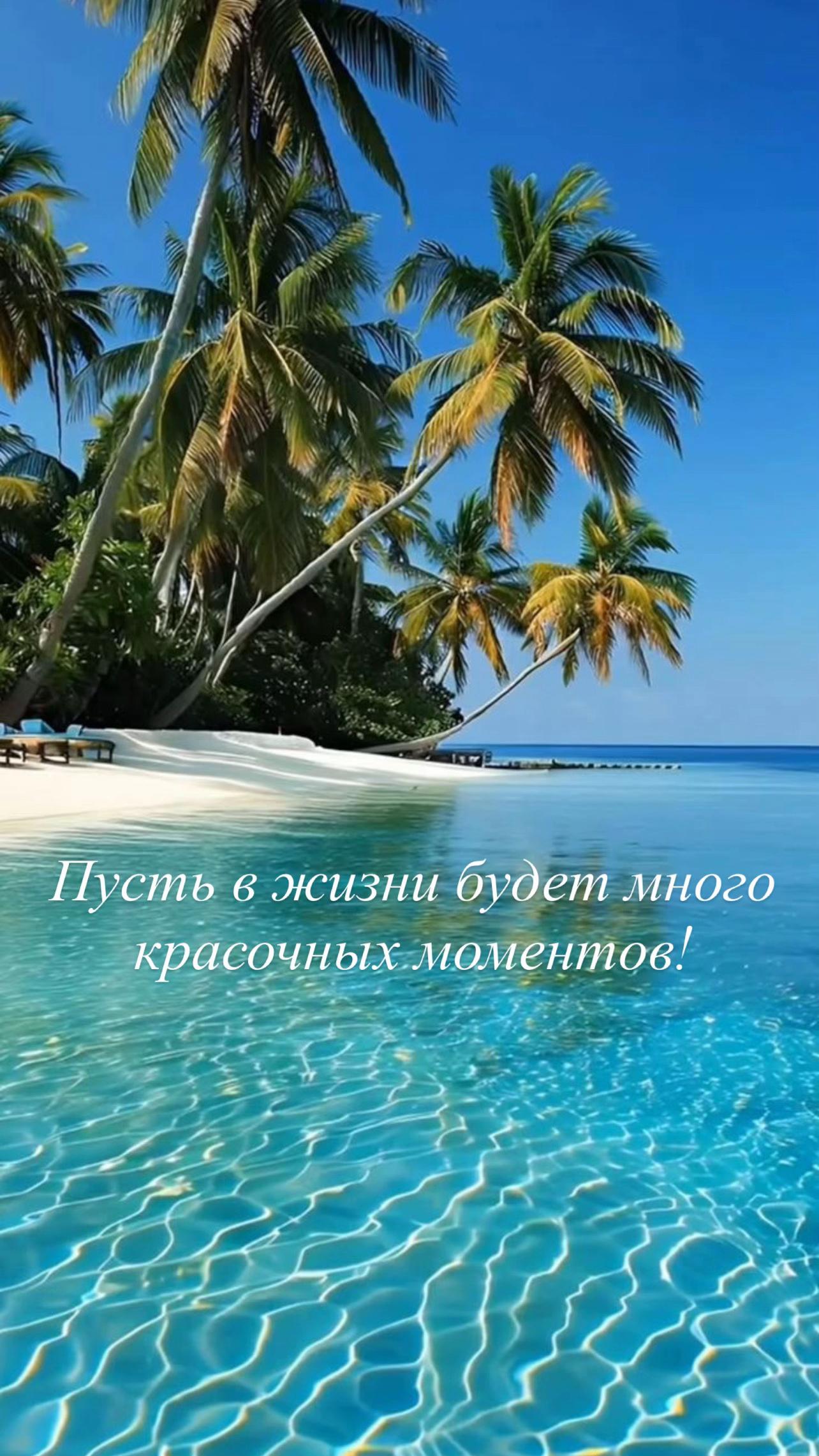 @Olga