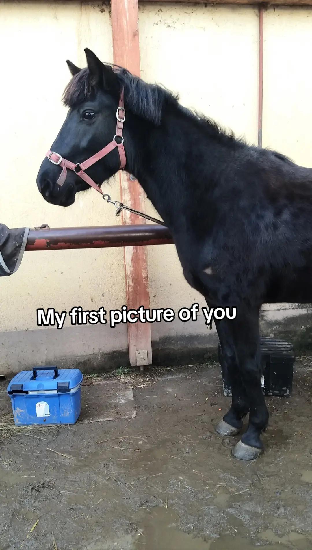 @Zsofiii