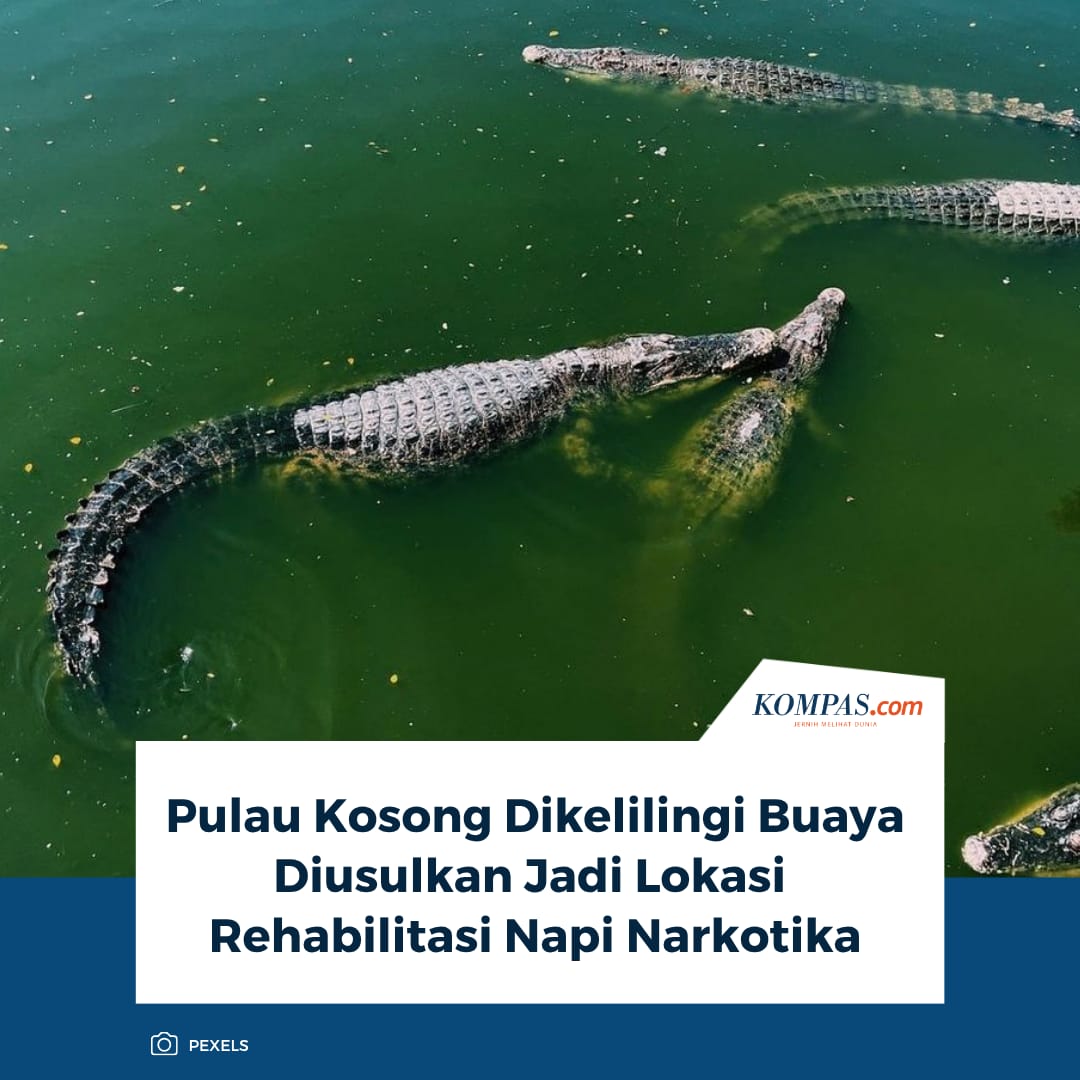 @Kompas.com