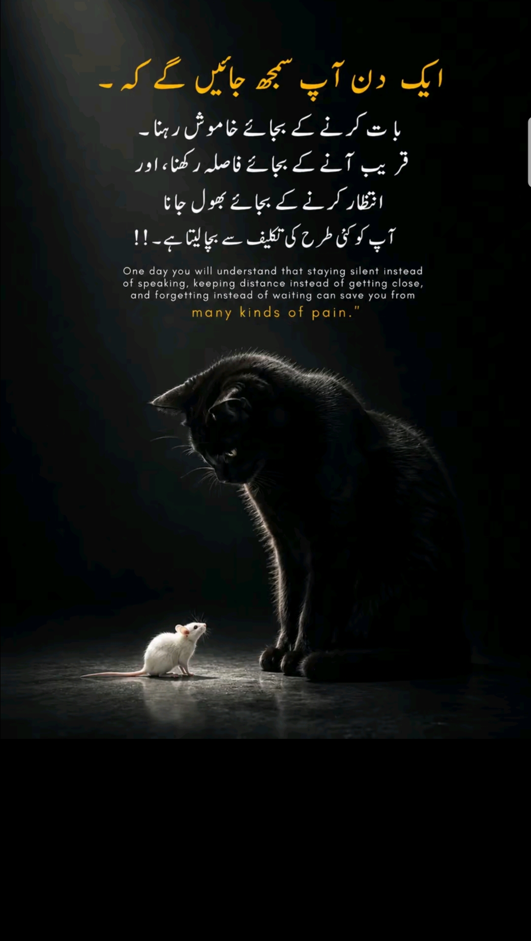 @👑Waqas Biland 👑