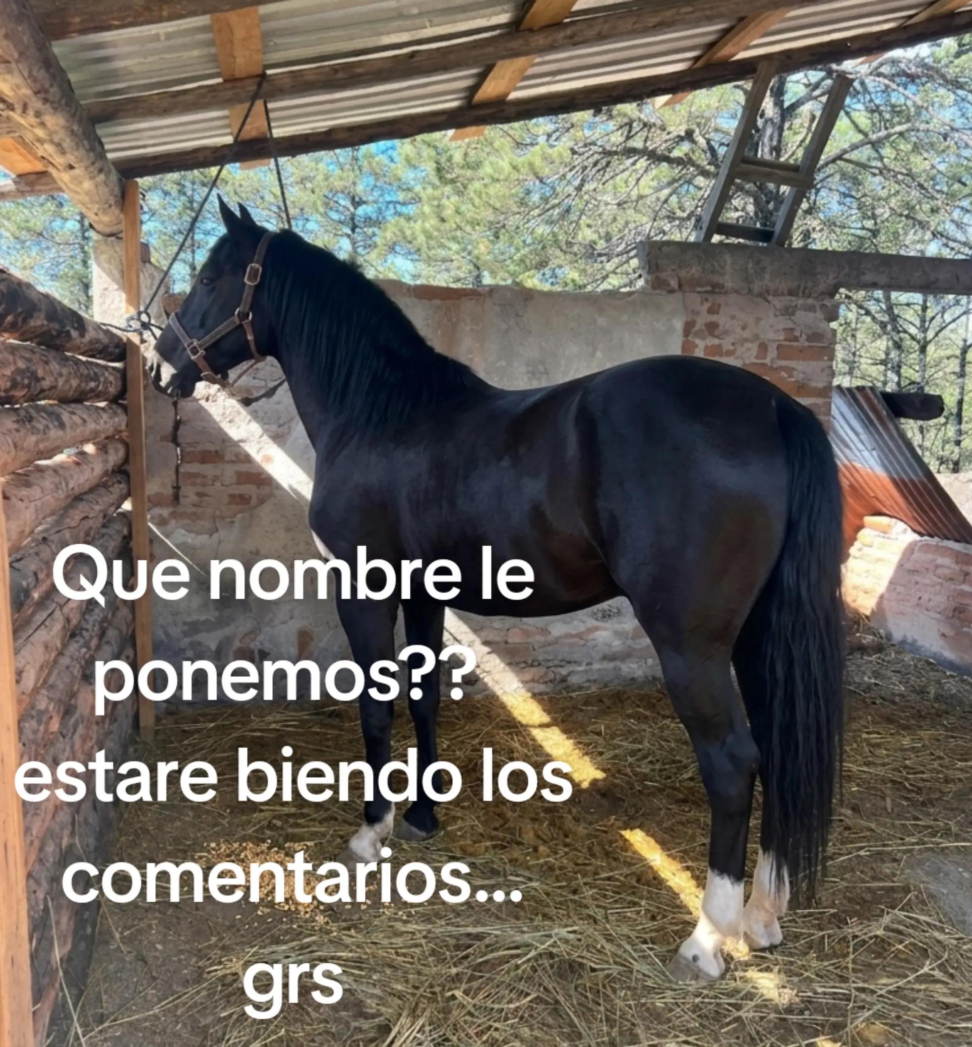 @El Rupe