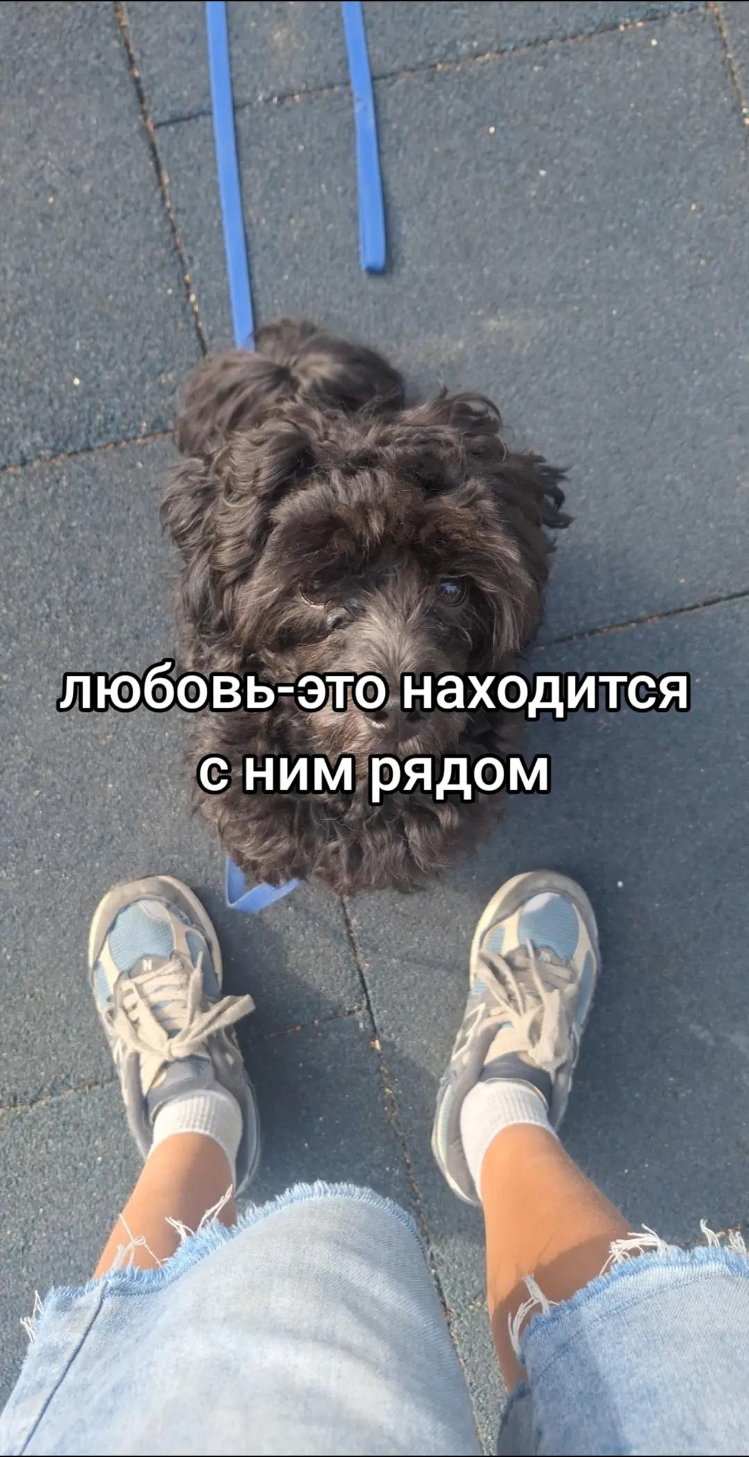 @ⲁⲅⲣⲉⲥⲥ&upsilon;ⲃⲏⲟⲉ ⲱⲁⲃⲗⲟ