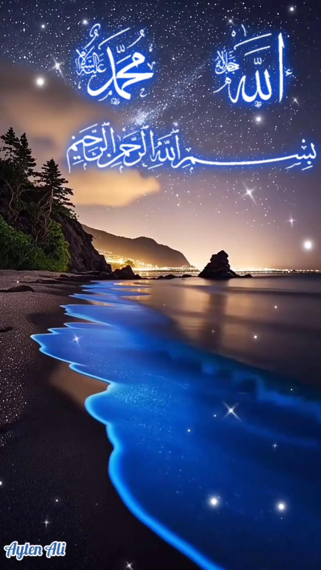 @javed shaikh