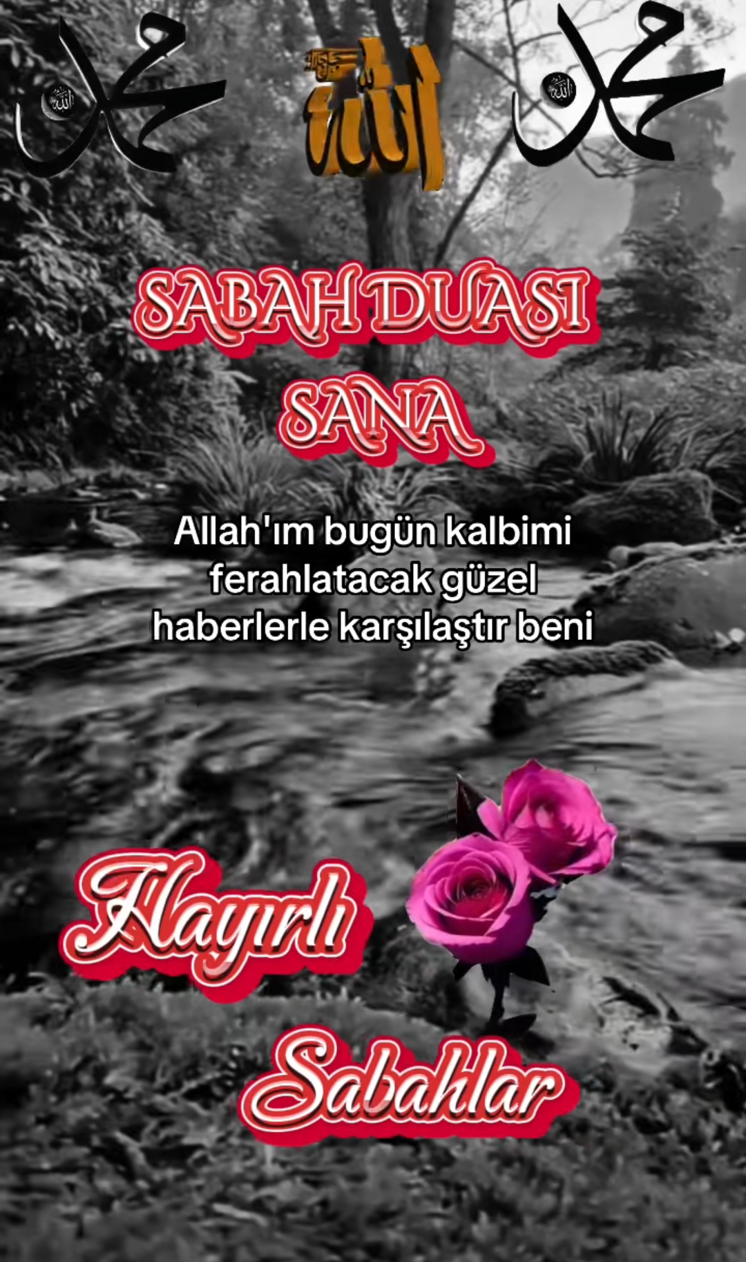 @aslan.44.44
