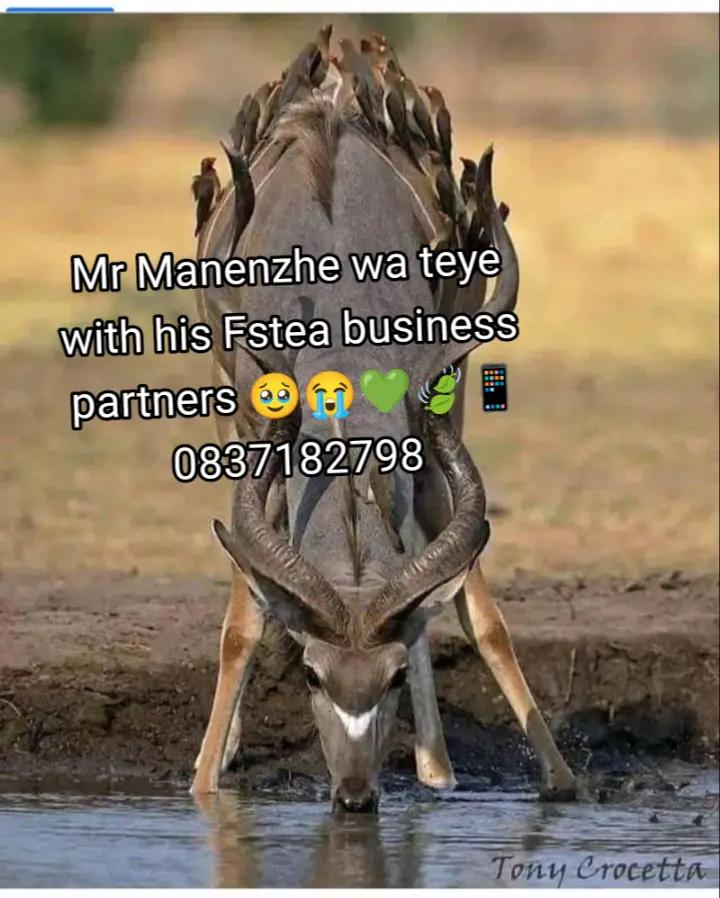 @Sir Manenzhe