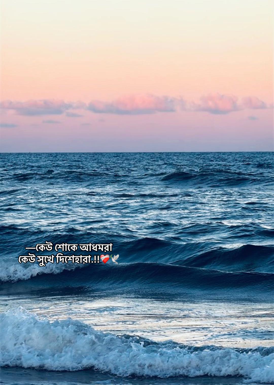@⏳𝐒𝐡𝐚𝐝𝐨𝐰𝐗𝐞𝐧_ 🚩