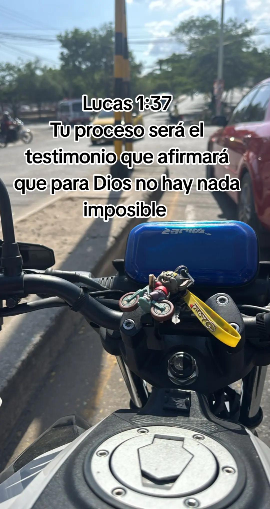 @Jose santos