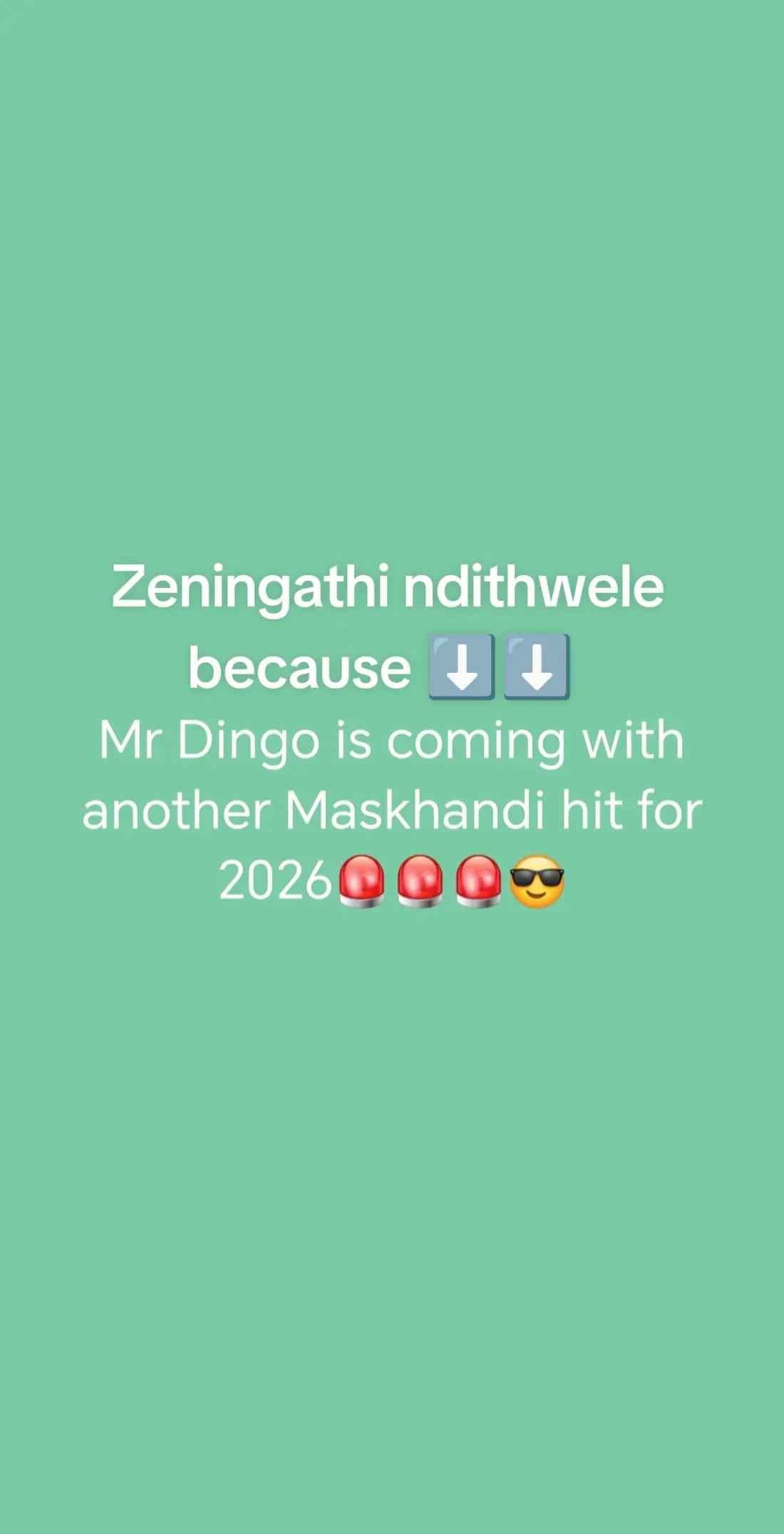 @Mr Dingo