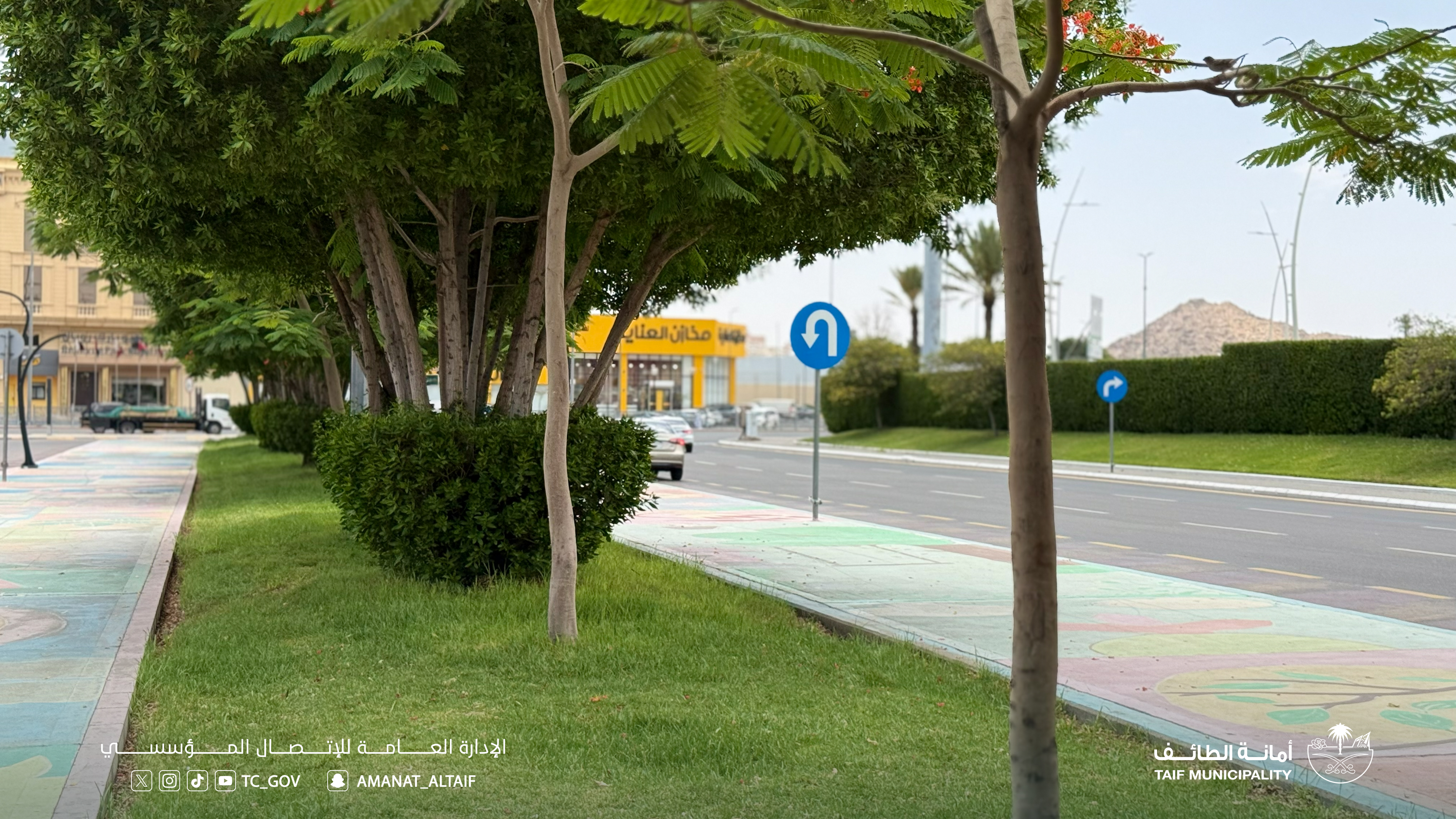 @أمانة الطائف