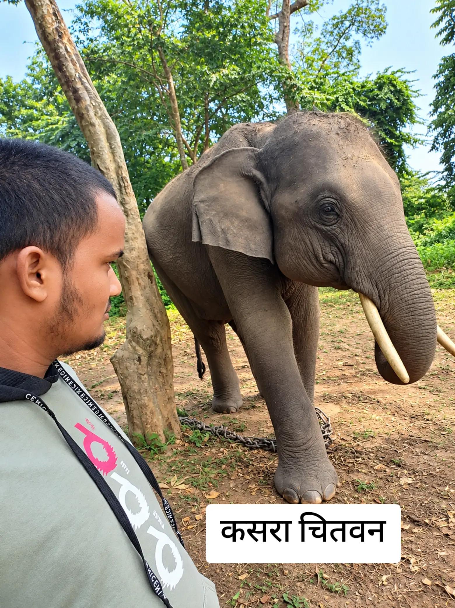 @अनिल प्र.विश्वकर्मा(कालेकोटे)
