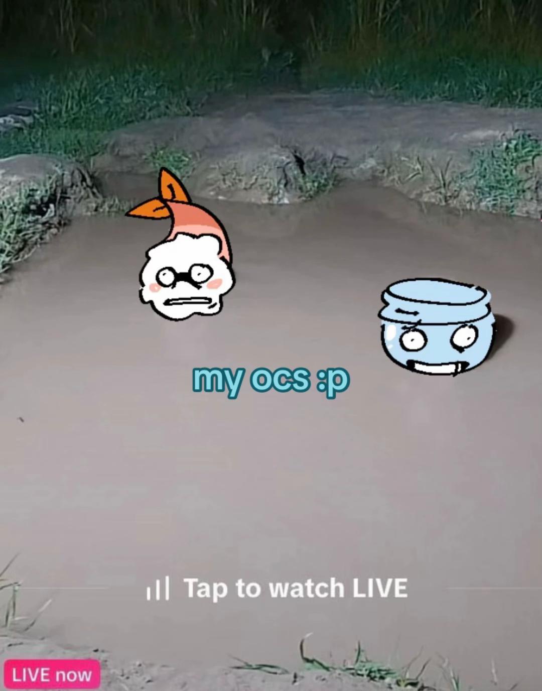 @veryveryfunnifish