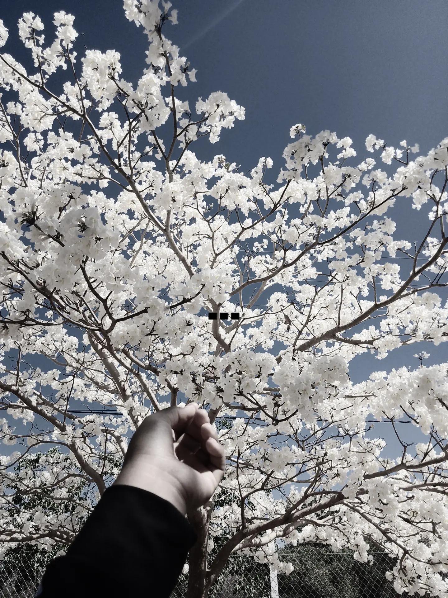 @NATALIA🌷