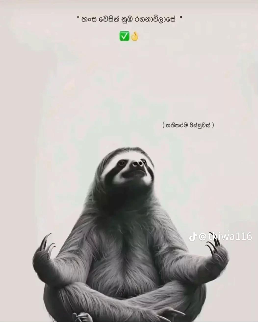 @N 🕊️🥀🍃