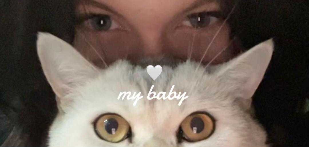@𝒱𝒶𝓁𝑒𝓇𝒾𝓈𝓈.