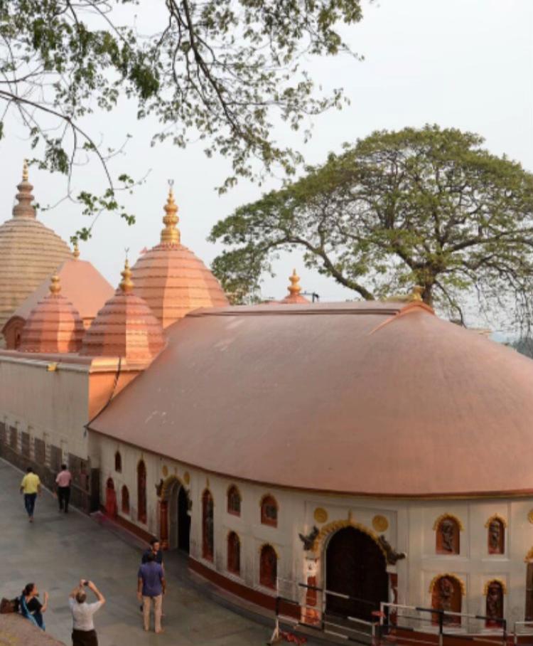 @थानेश्वर ज्ञवाली
