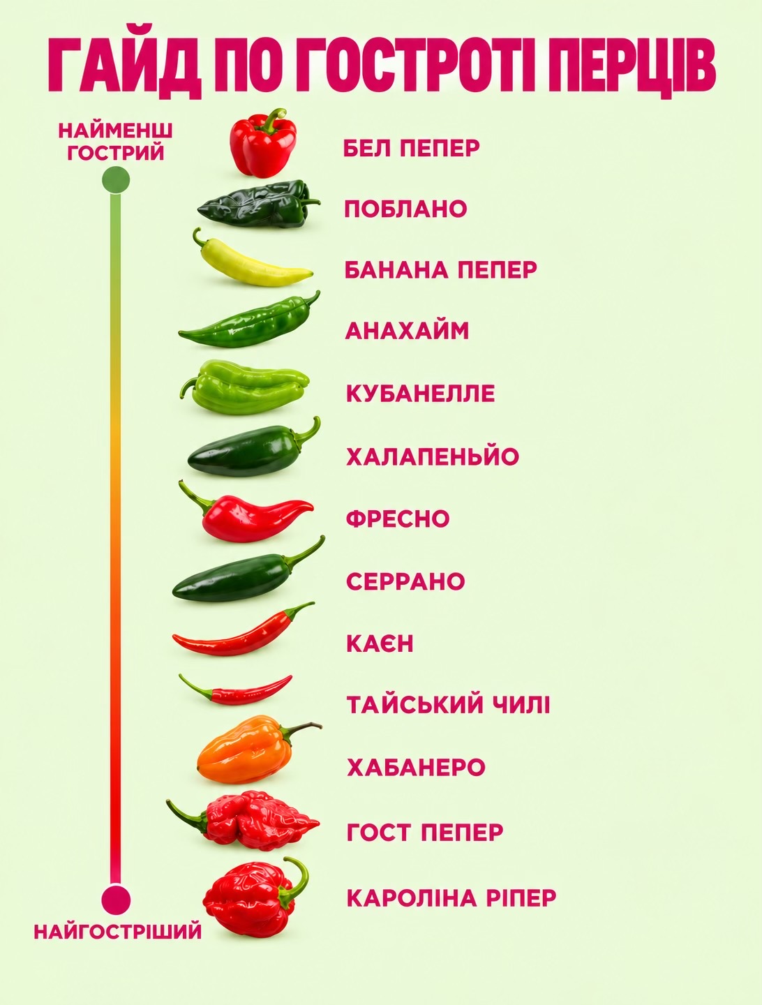 @FLORIUM – Мої Рослини