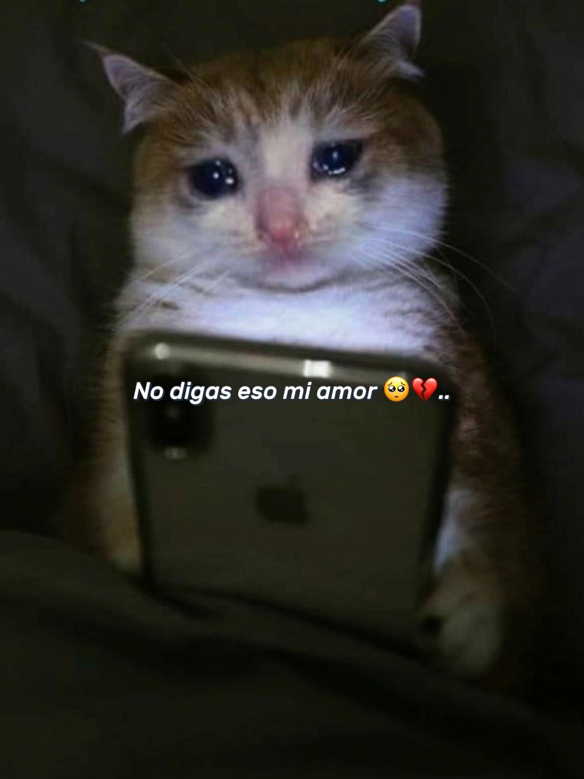 @Gervin Rodriguez🥏