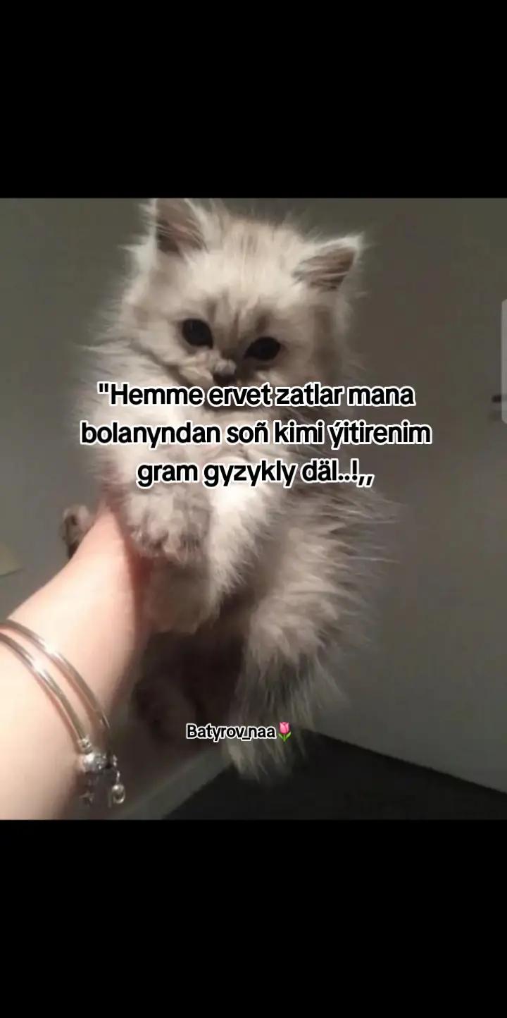 @Batyrov_naa🌷