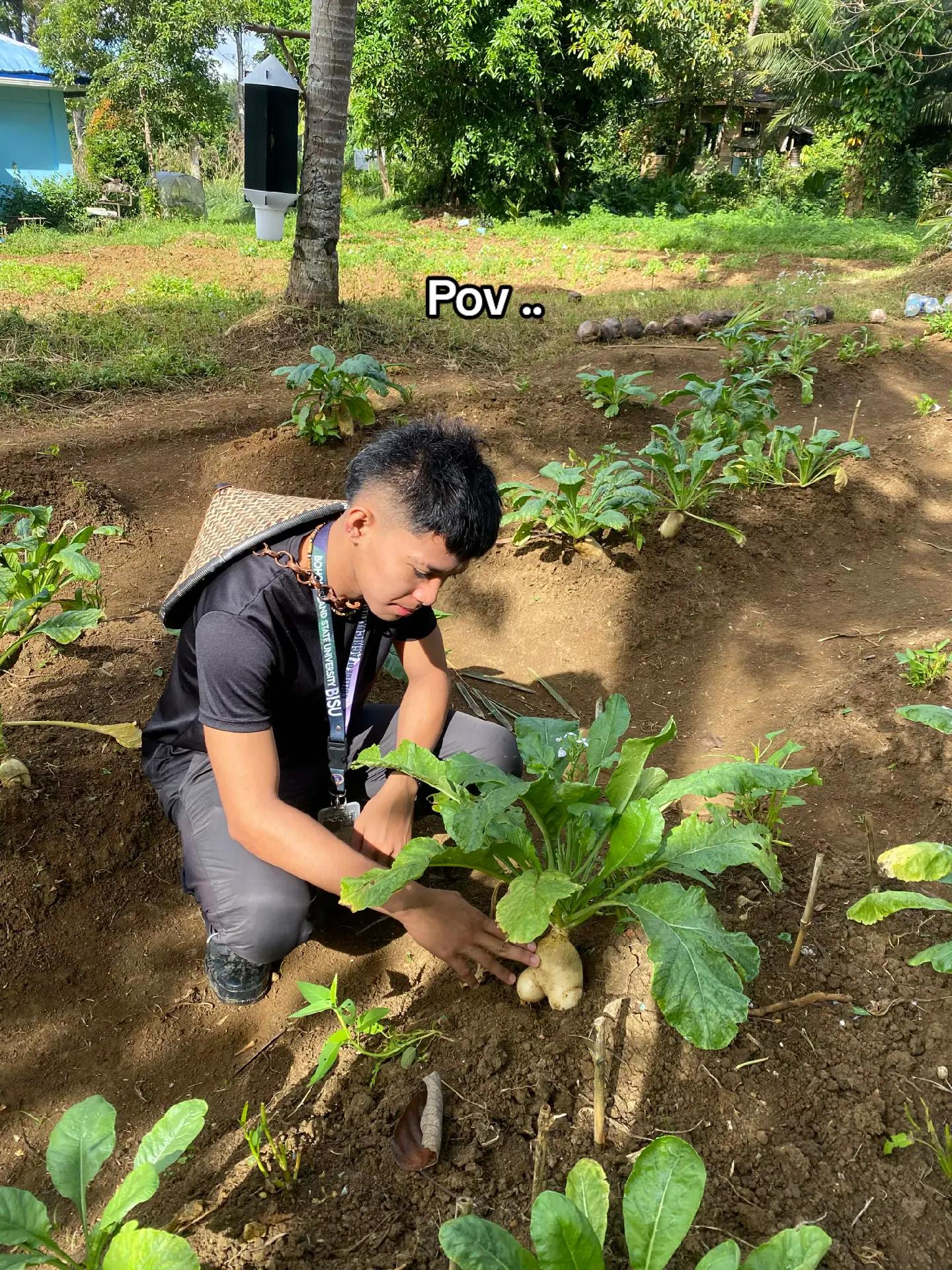 @BRIAN🌱