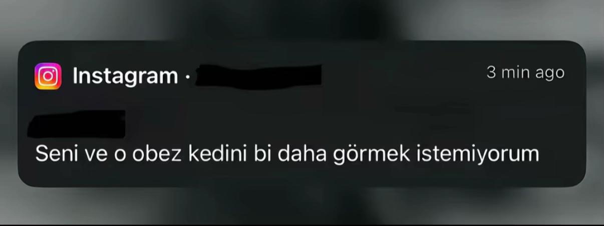 @Özlem Aksoy
