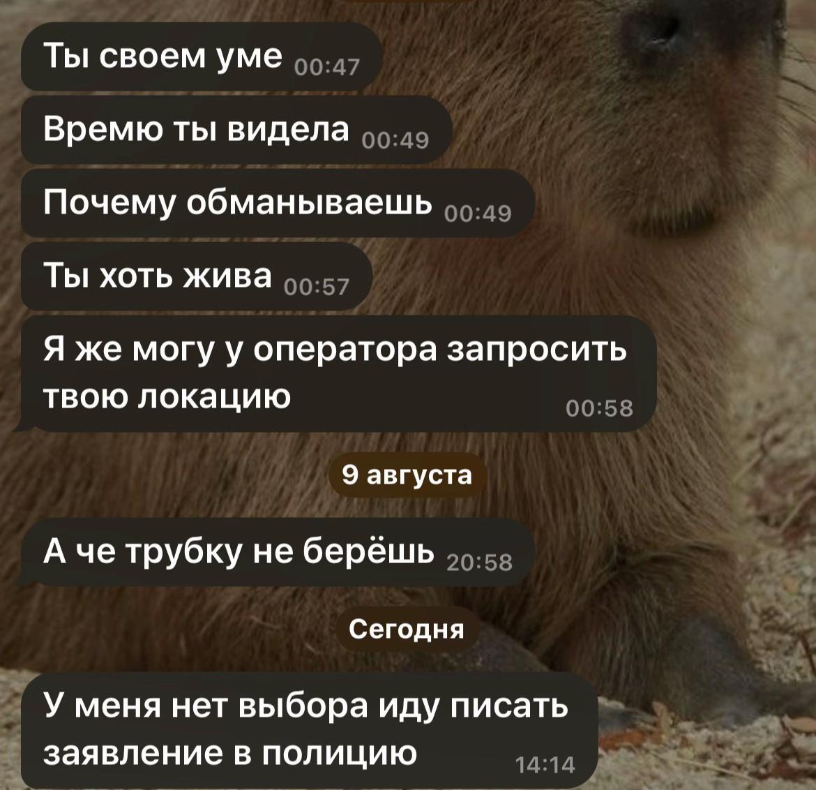 @netnebydy2