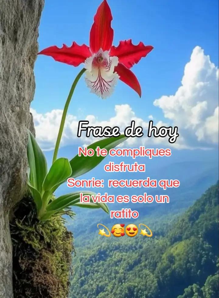 @💞💞Rosaura💞