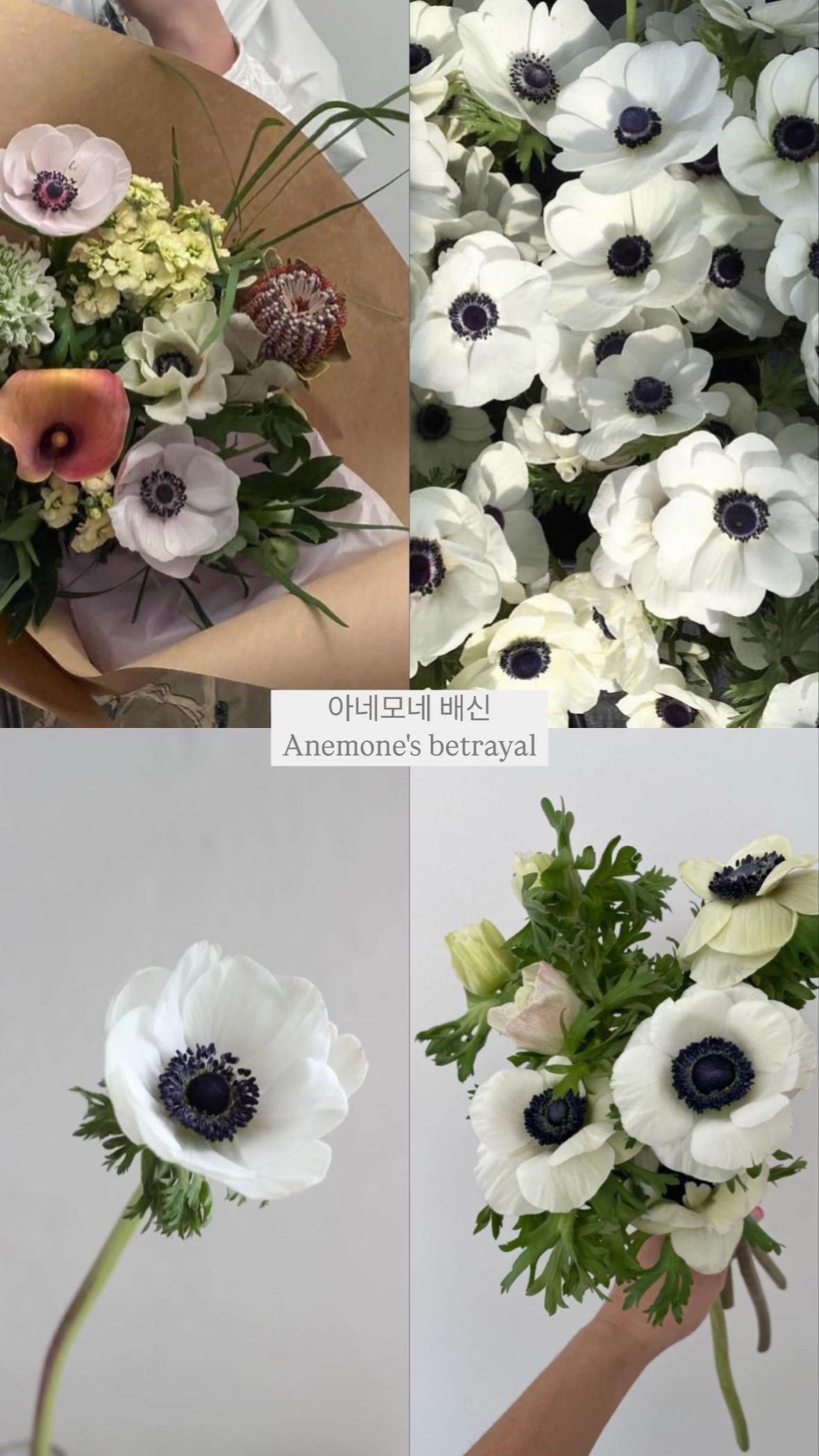 @୨୧