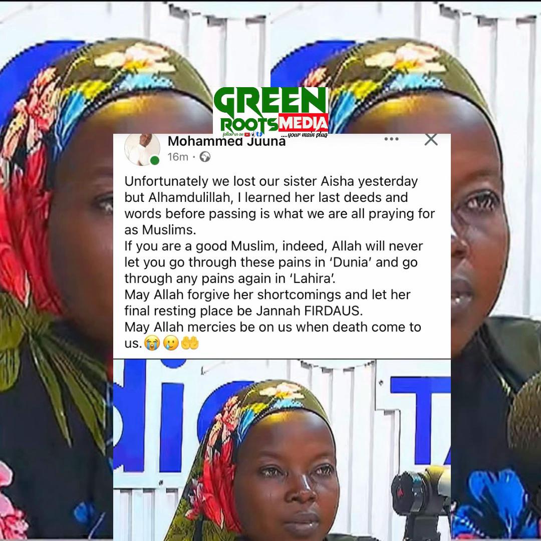 @Green Roots Media
