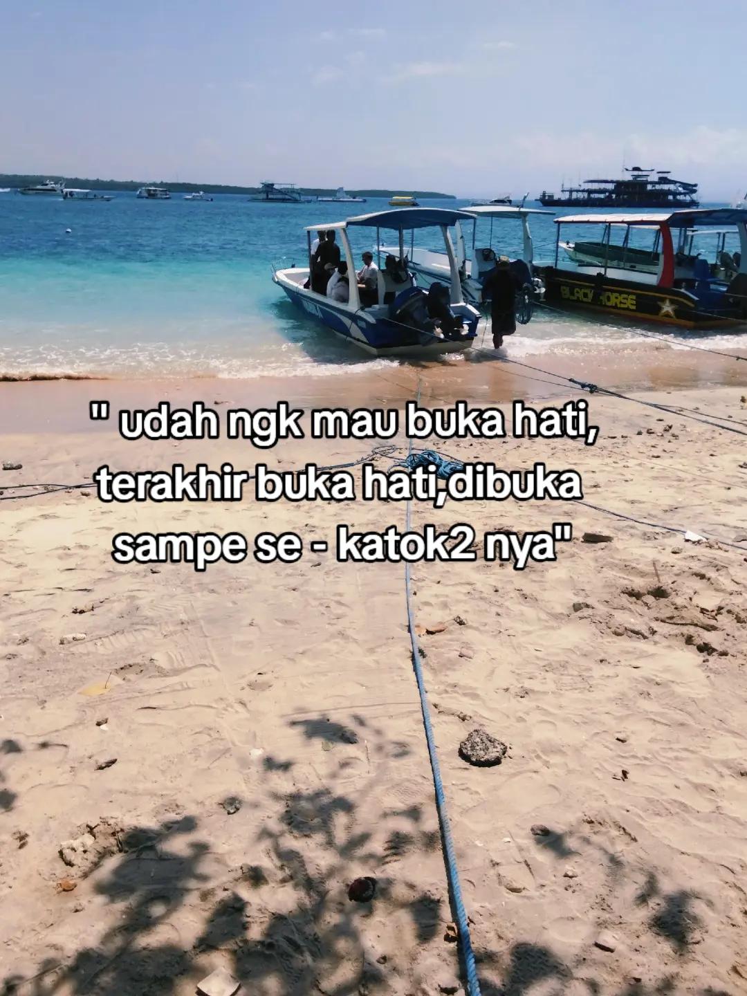 @🌶️cabe rawit merah🌶️