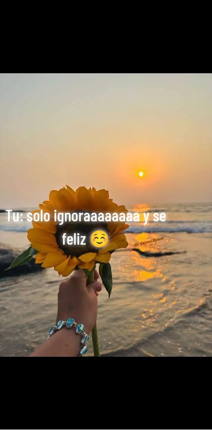 @''k£lh¥🦋¥v@n¥@