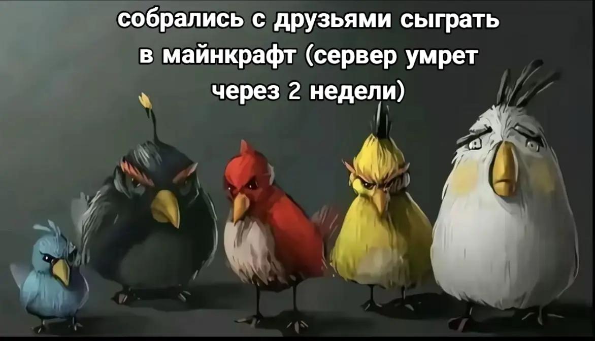 @сизорс✂️