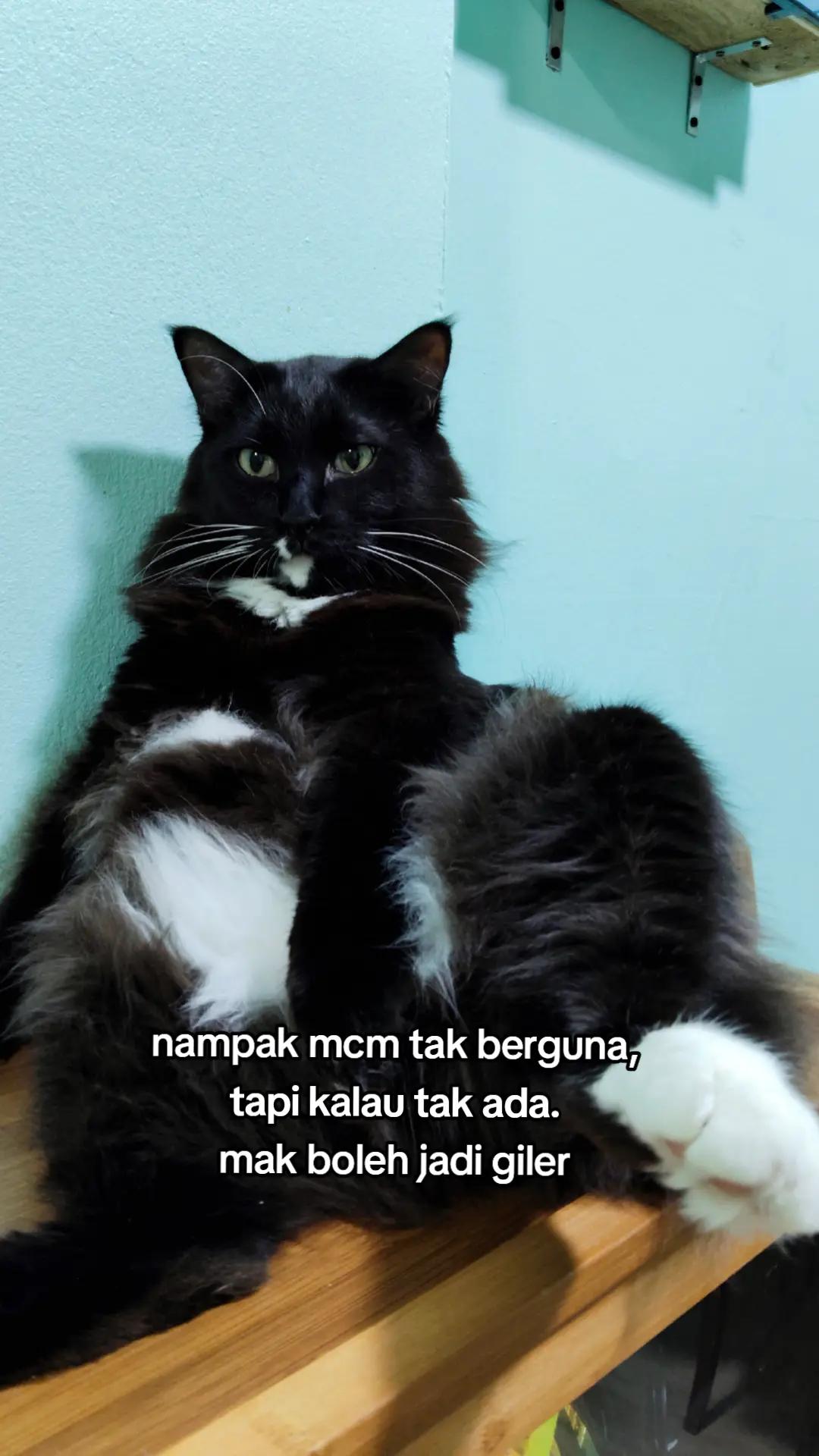 @Nurel Aien