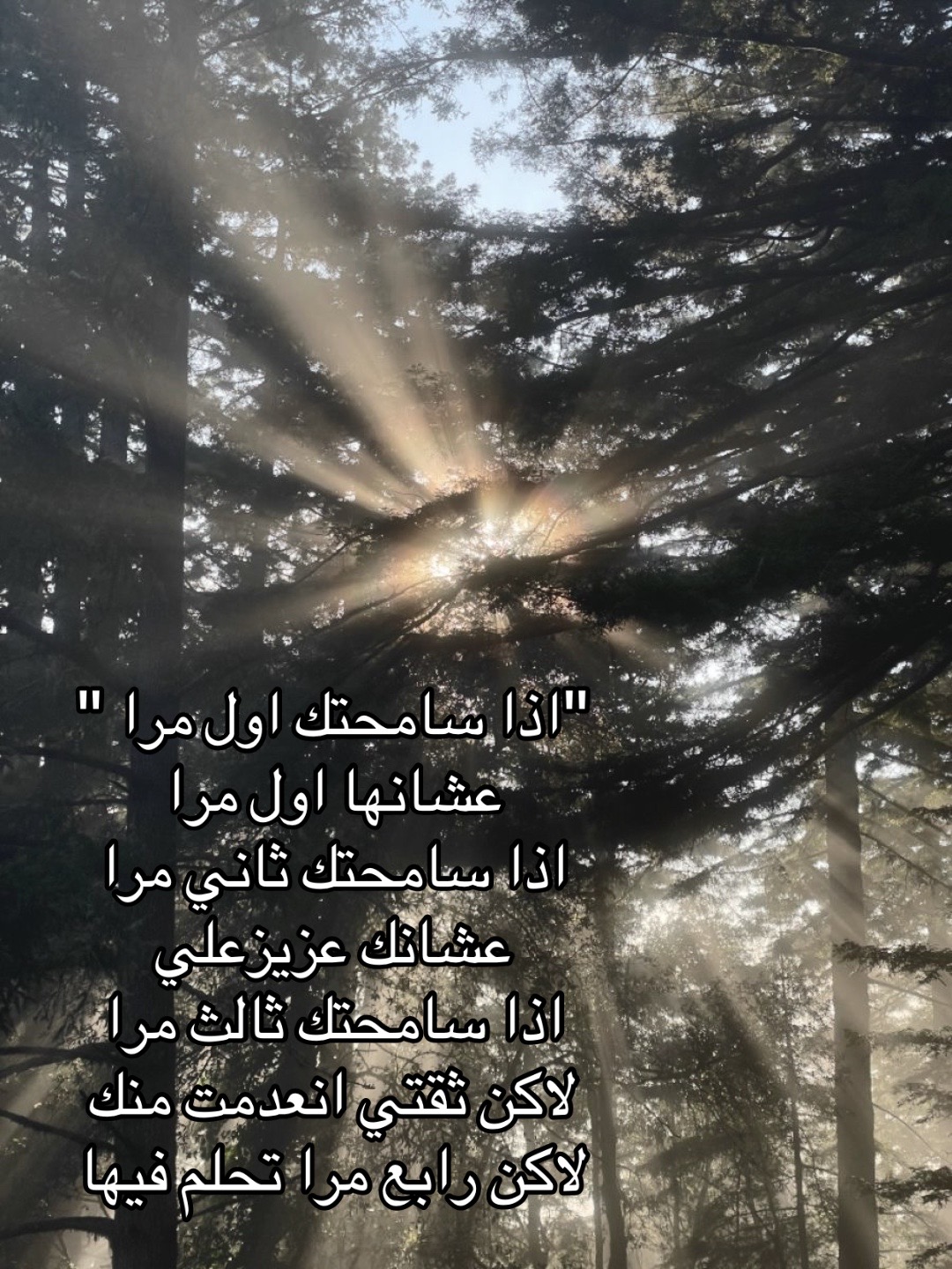 @｡⋆.✧˚ ⋆  S༒