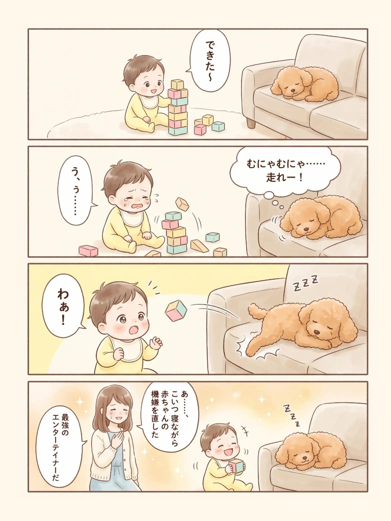@都内のチワワ