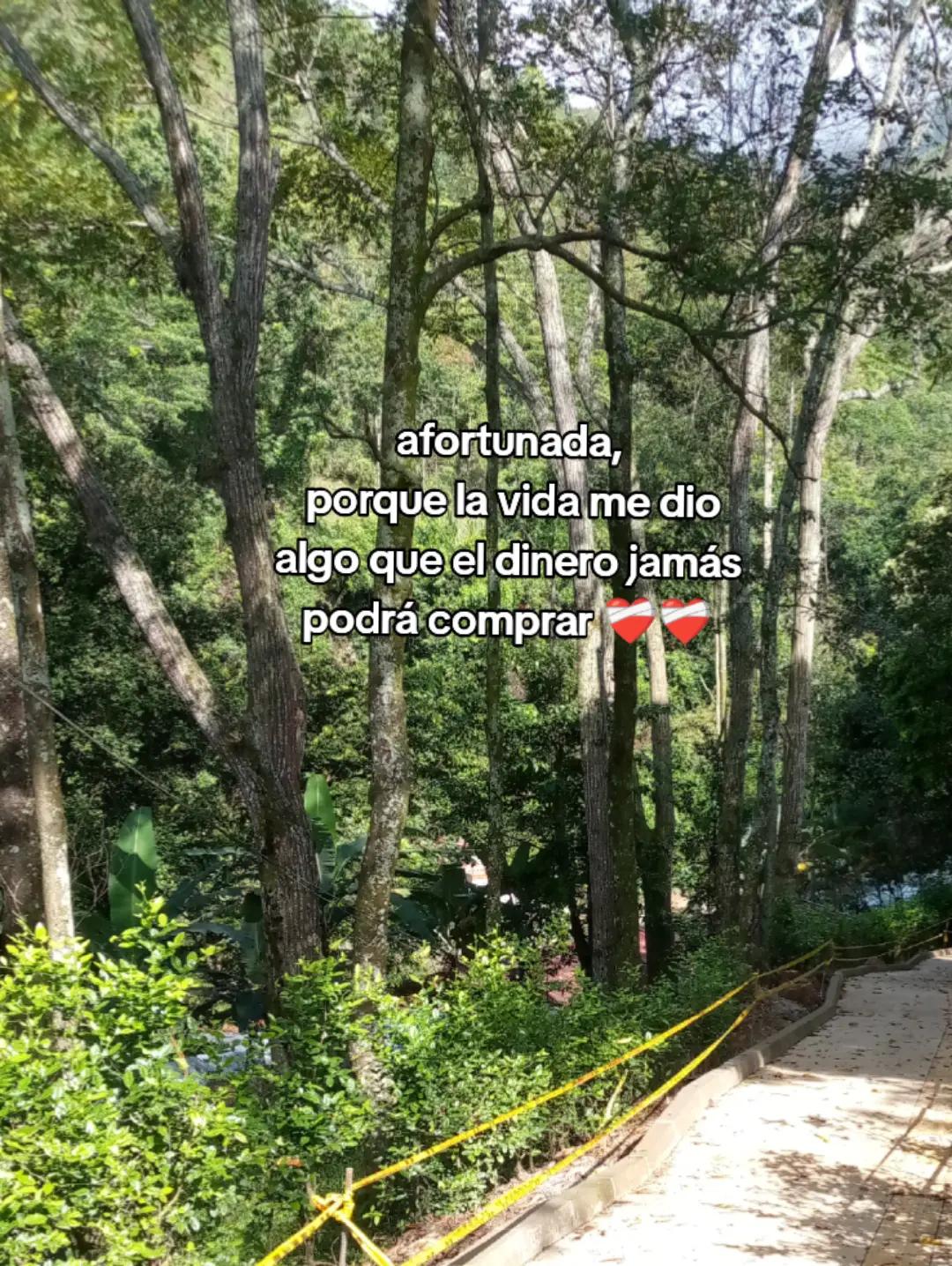 @Yosselin🖤