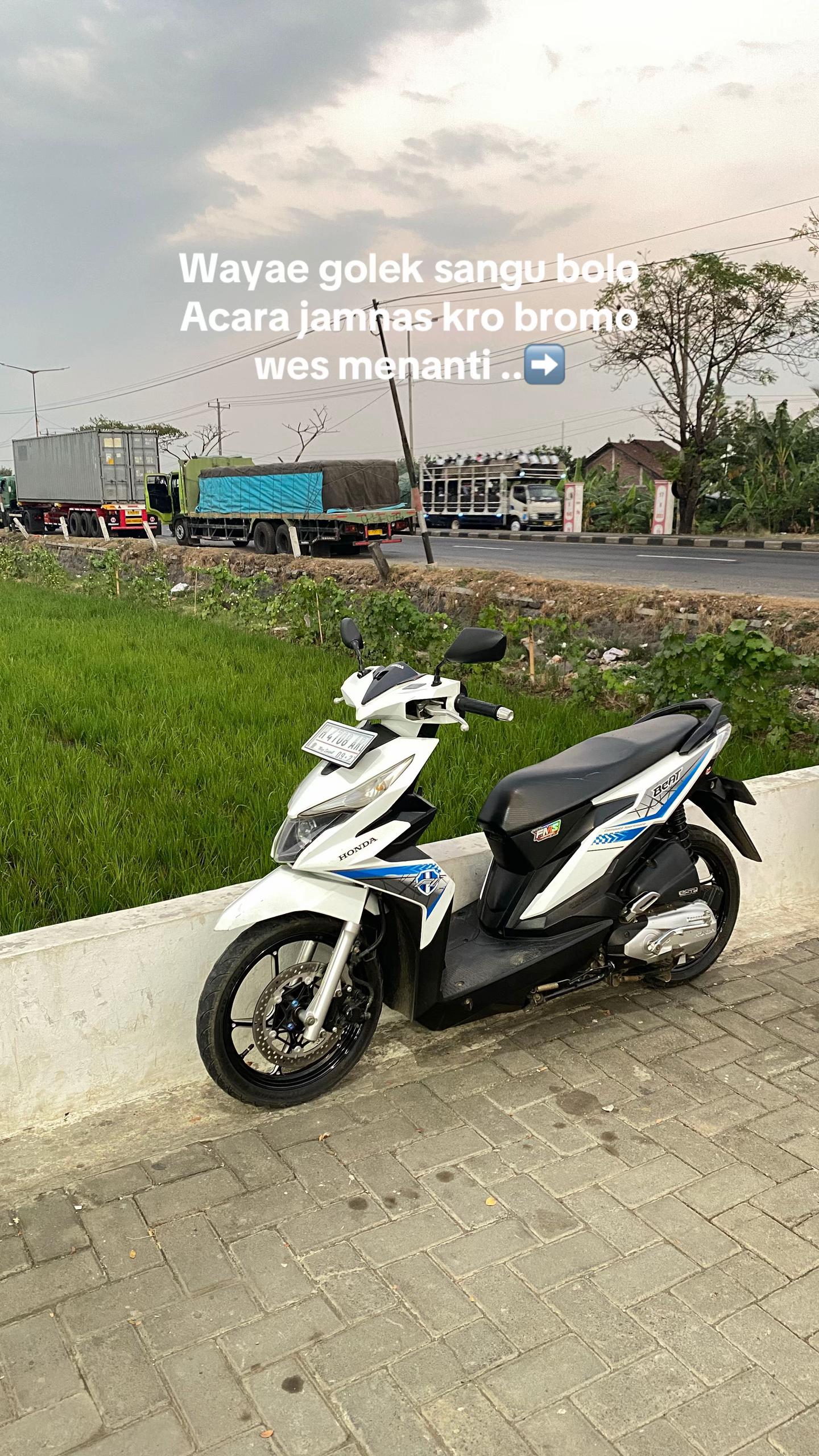 @ipull K44