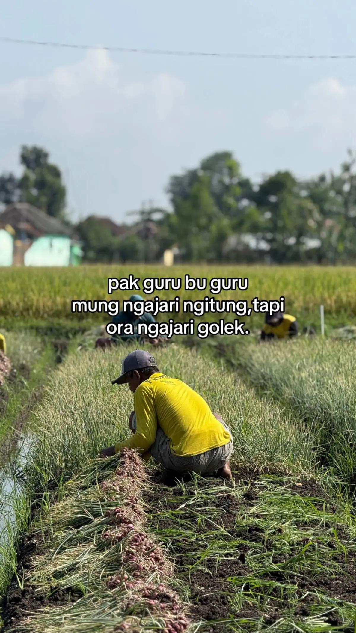 @Alex Asma Subrata