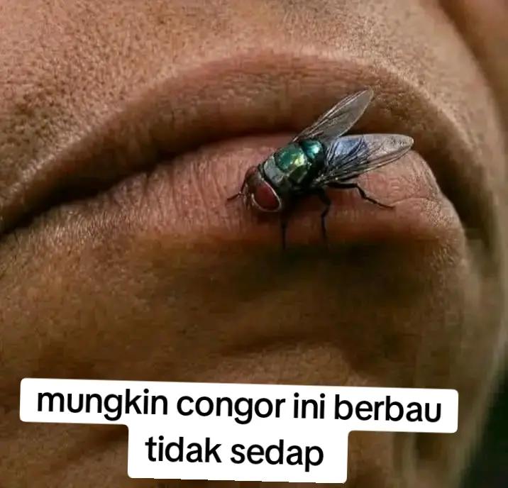 @witrriana&yans