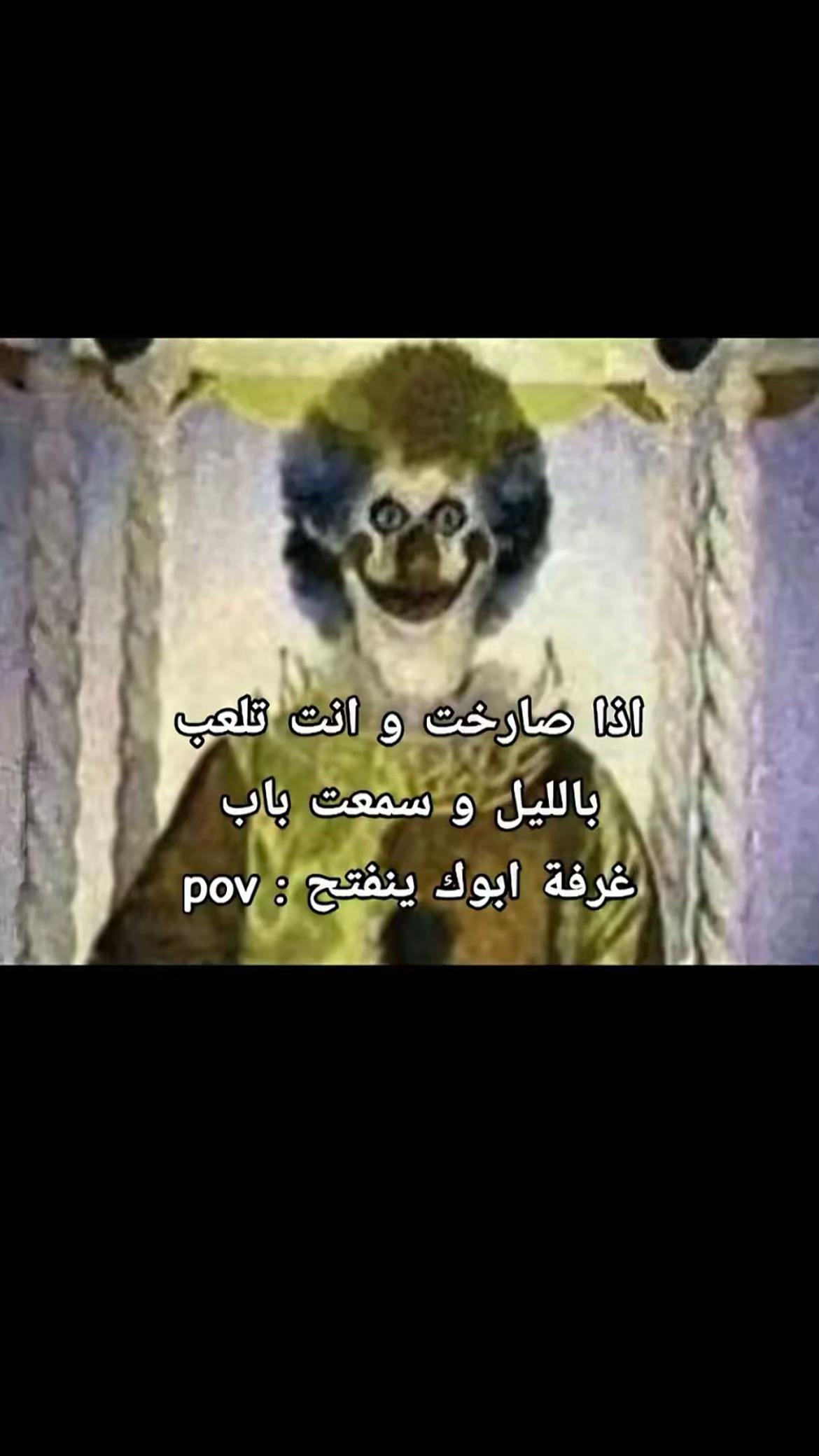 @⌛️1000K/ シطربوش