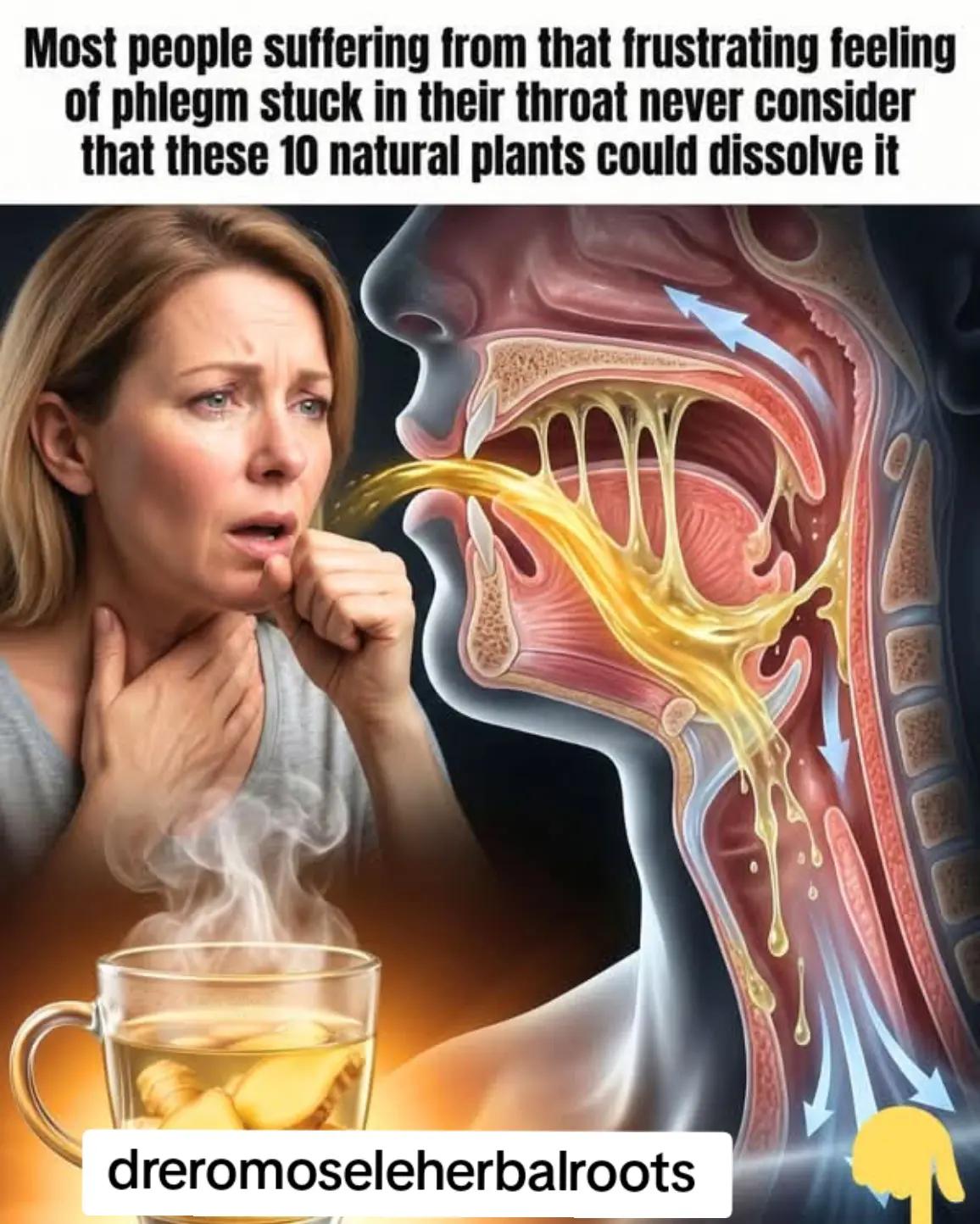 @DR EROMOSELE HERBALROOTS