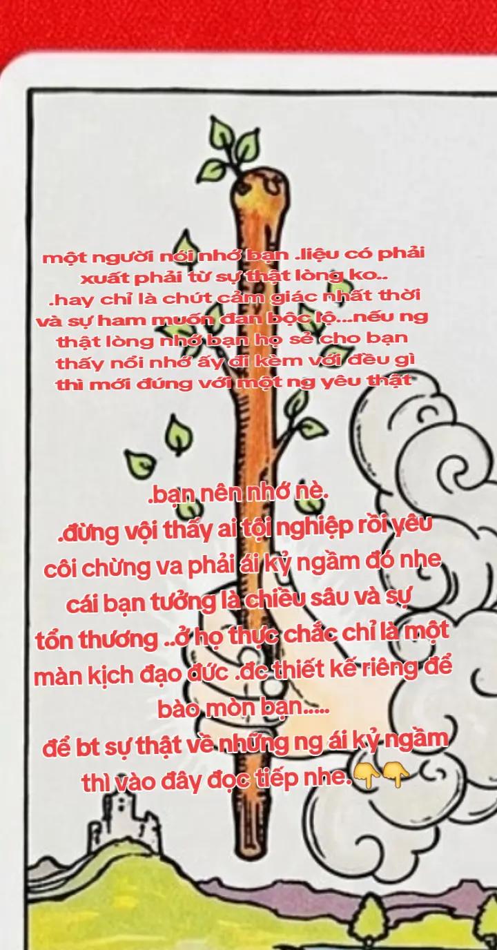 @cô sáo tarrot🌹🌹🌹