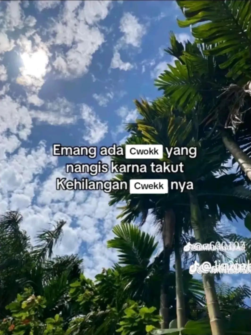 @bini Aan💐