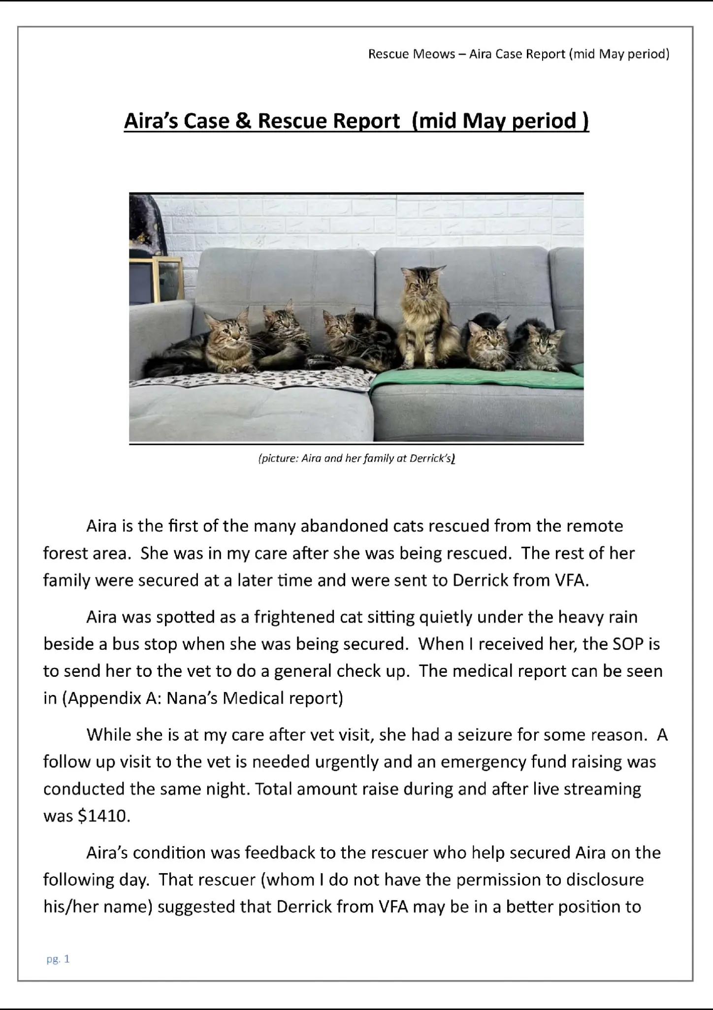 @Rescue Meows 🐈