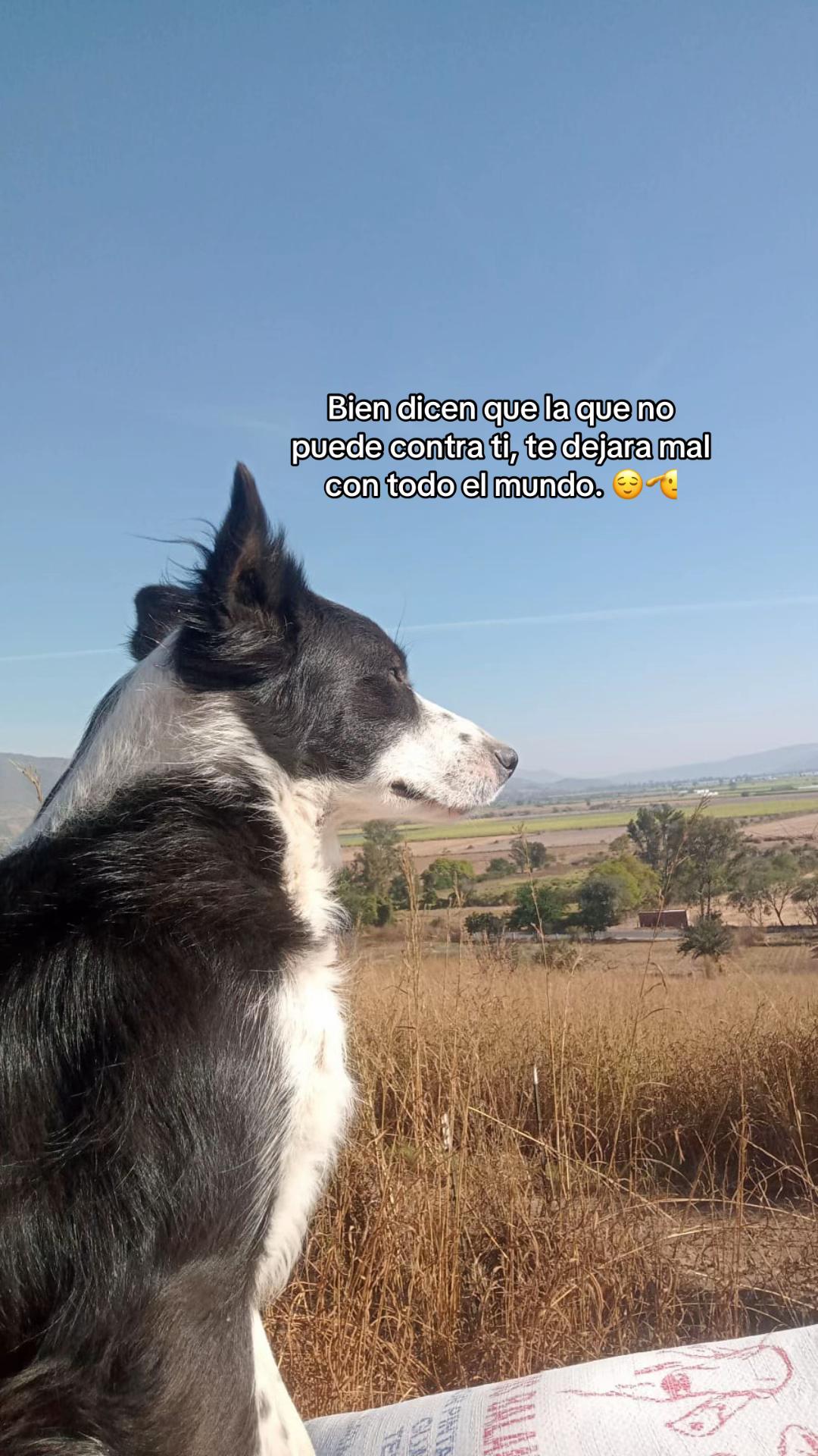 @Sagra Méndez