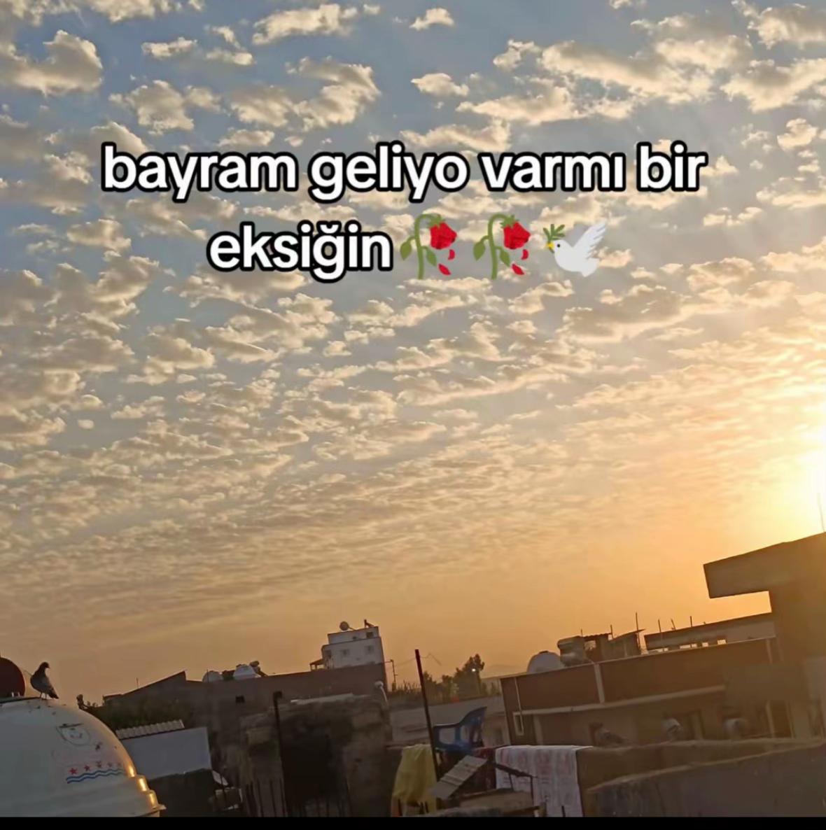 @mahsum.akkyn
